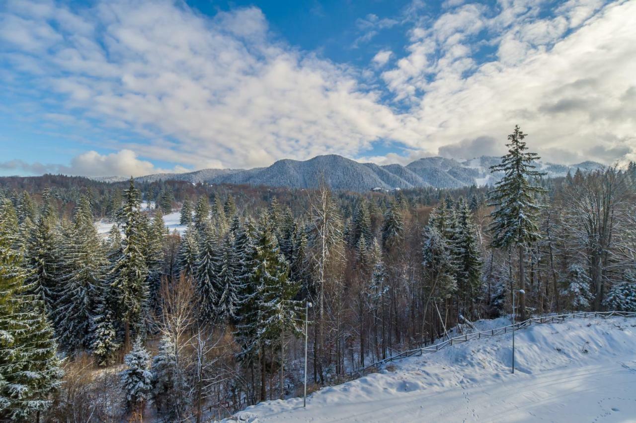 Forest Apartment Silver Mountain Resort Пояна-Брашов Экстерьер фото