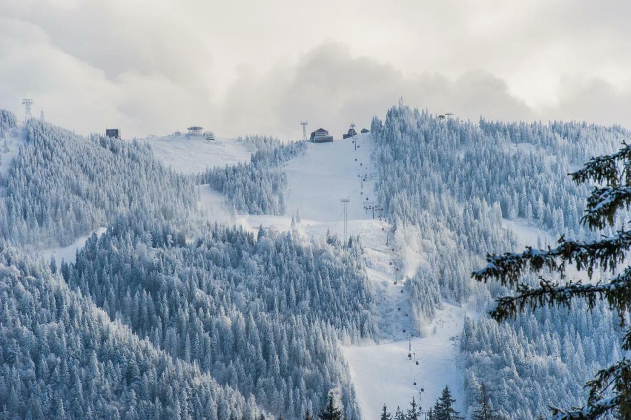 Forest Apartment Silver Mountain Resort Пояна-Брашов Экстерьер фото