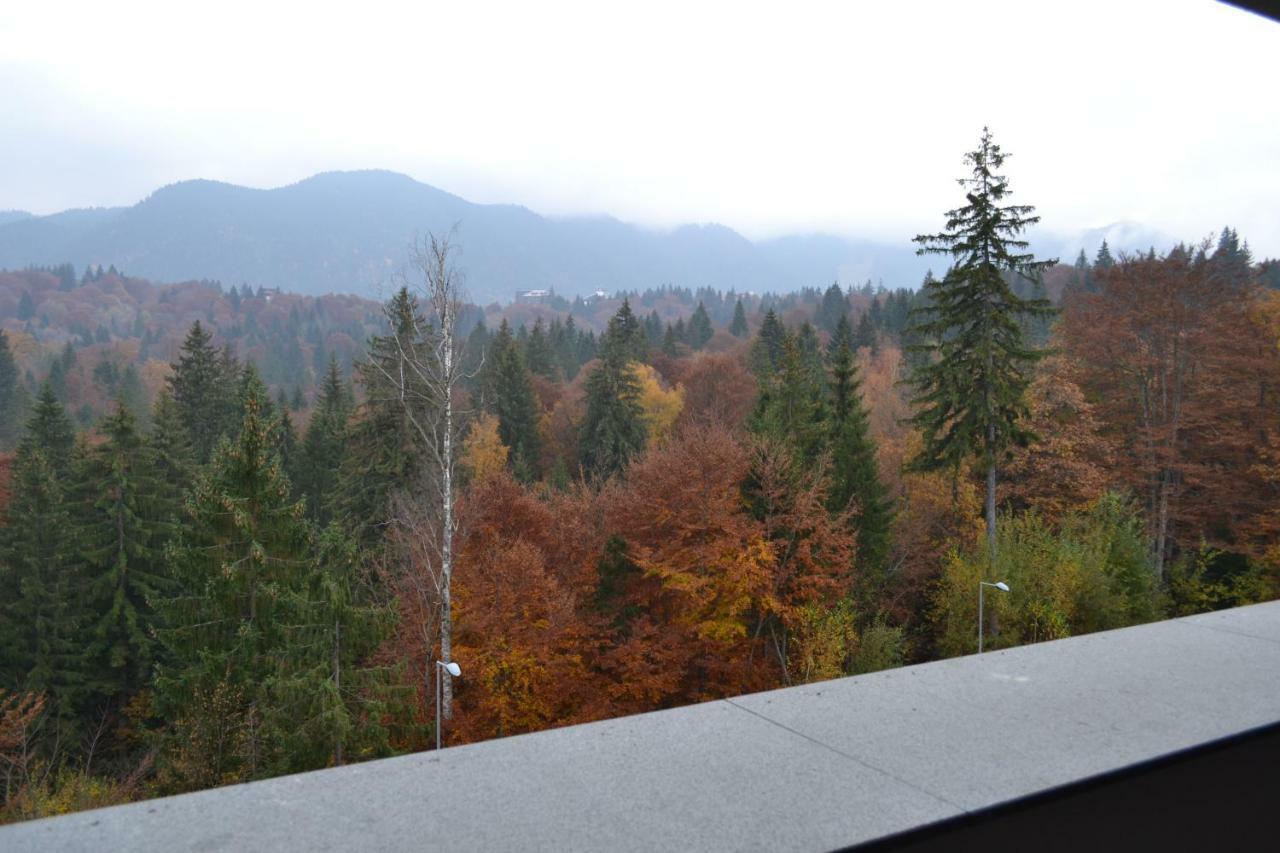 Forest Apartment Silver Mountain Resort Пояна-Брашов Экстерьер фото