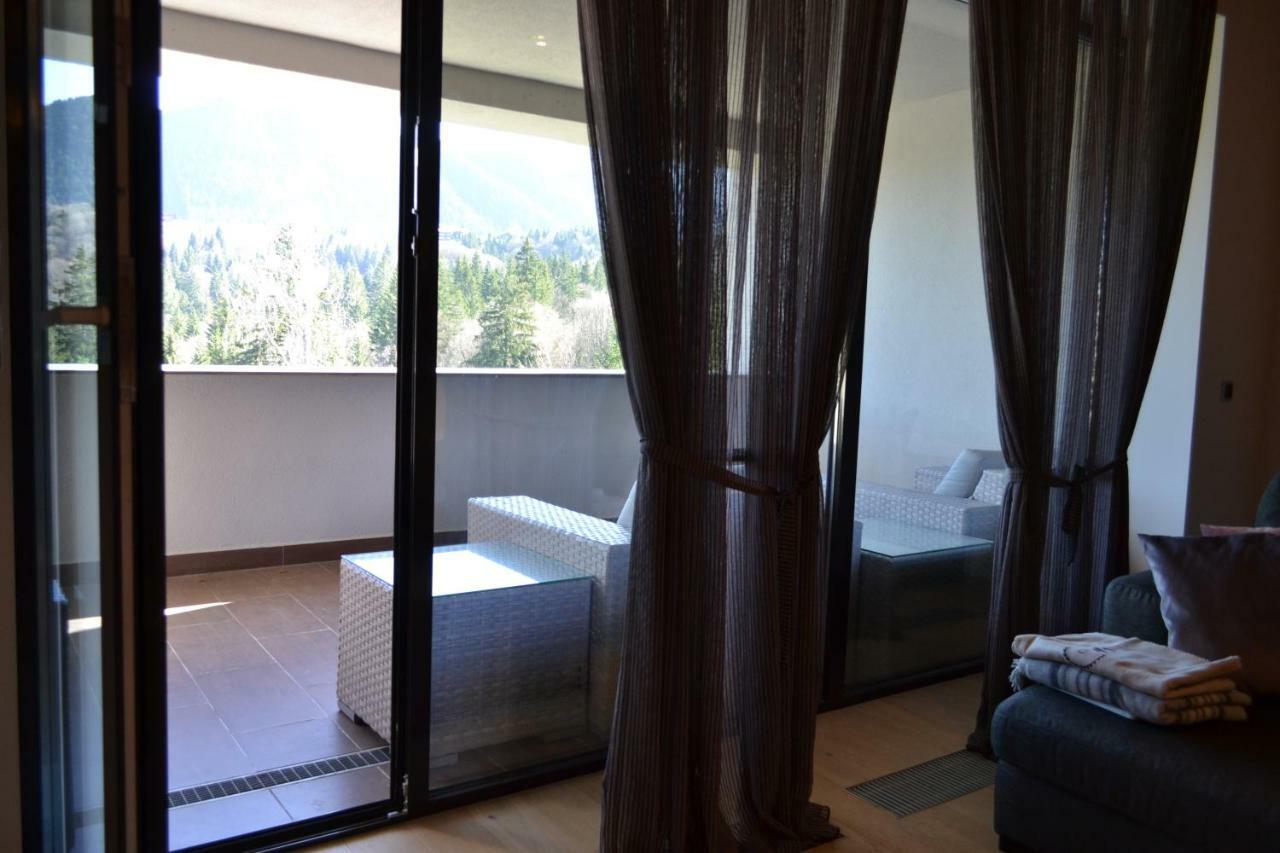 Forest Apartment Silver Mountain Resort Пояна-Брашов Экстерьер фото