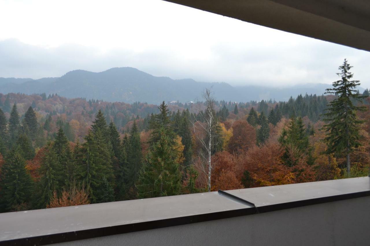 Forest Apartment Silver Mountain Resort Пояна-Брашов Экстерьер фото